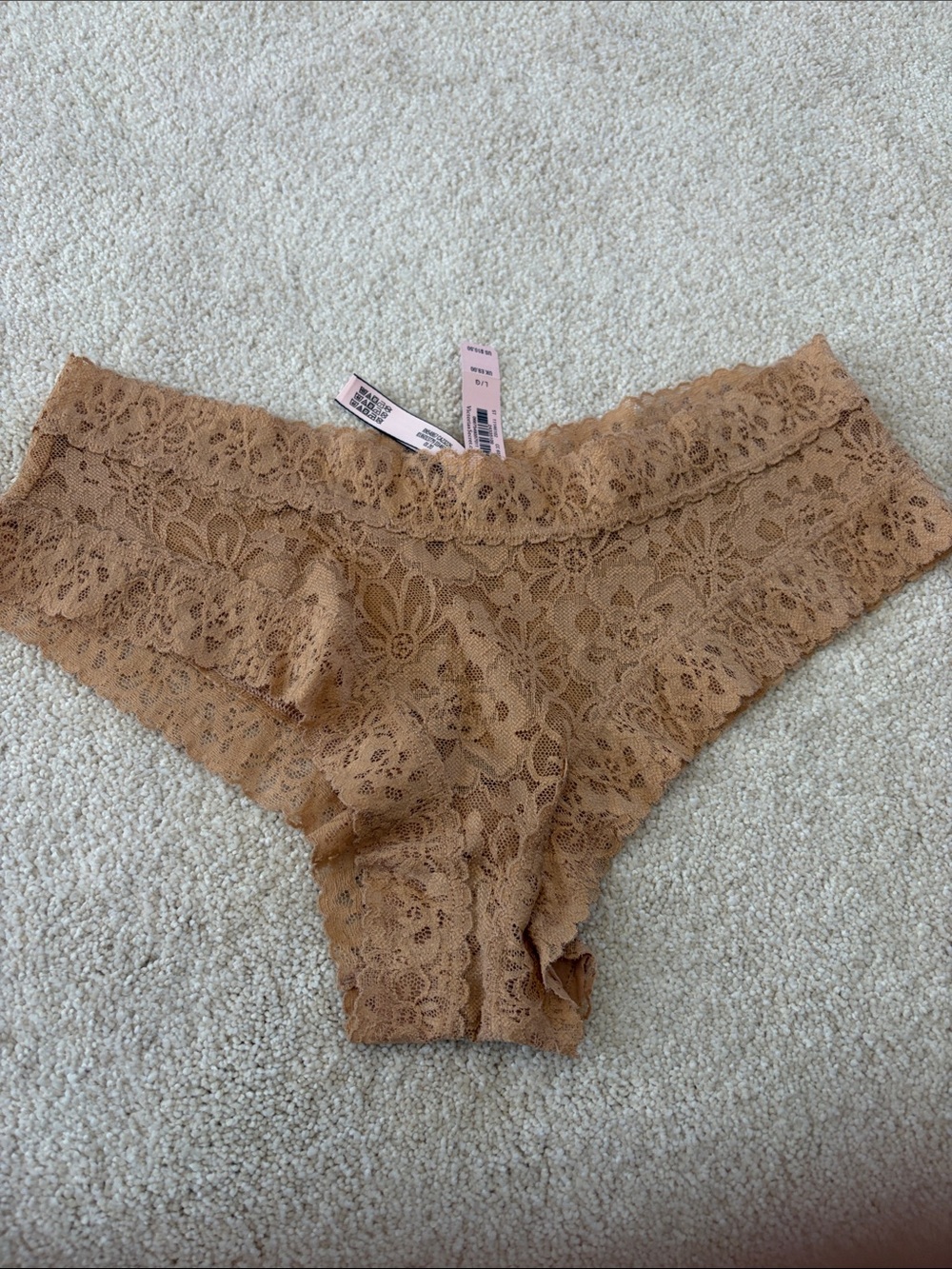 Victoria's Secret Lace Hipster Panty in Nude